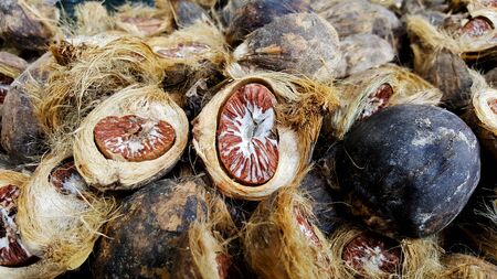 close-up dried areca nut, betel nut, thailand