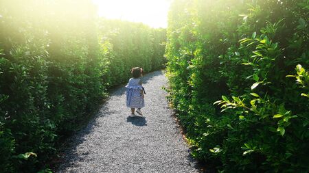 child escape maze green plant wallの写真素材