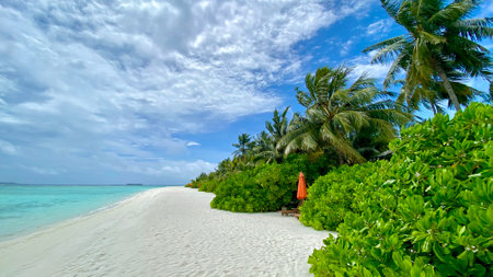 Paradise and empty beach with white sand, beach chair and closed umbrella clear blue water and blue partially cloudy sky with natural green vegetation and coconut trees.の写真素材