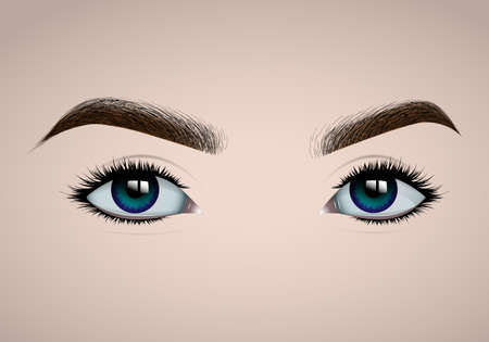 Realistic female eyes and eyebrows, long colored eyelashes. Makeup and eyebrow design, eyelash extension. Basis for make-up. Vector illustration.のイラスト素材