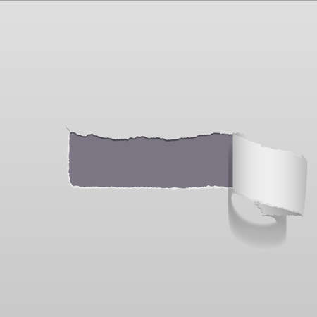 Torn paper. Hole in the sheet of paper . Realistic vector illustrations. Element of design, place for textのイラスト素材