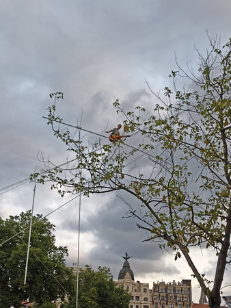 Fisherman on a tree in the city of Lviv, Ukraineの写真素材