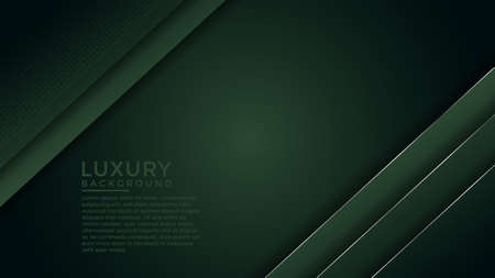 Luxury abstract background with overlap layer on background. Eps10のイラスト素材