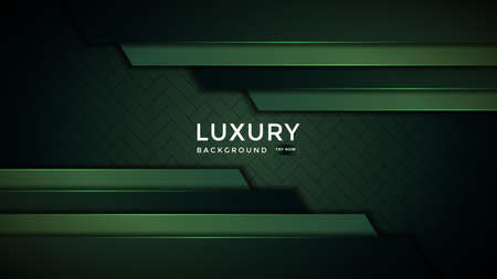 Luxury abstract background with overlap layer on background. Eps10のイラスト素材