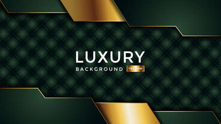 Luxury abstract background with overlap layer on background. Eps10のイラスト素材