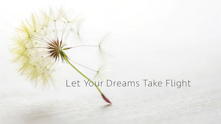 A single dandelion seed head delicately poised against a soft white surface, symbolizing aspirations and potential, perfect for motivational content and creative inspiration.の素材