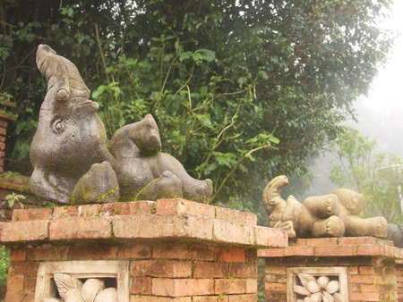 Elephantの写真素材