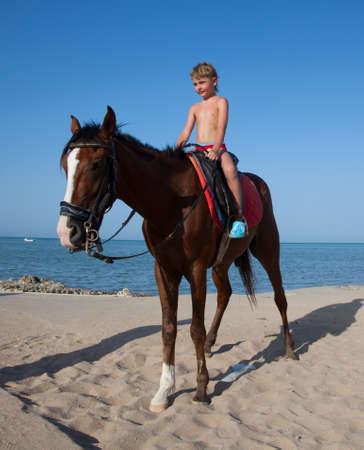 A boy on horseback rides on the beachの写真素材