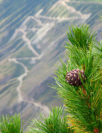 Katu-pass Yaryk, the most dangerous in the Altai Mountainsの写真素材