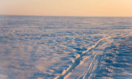 cold winter in the polar tundra in Siberiaの写真素材