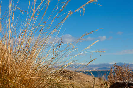 Achitnoor lake in the Mongolian steppe in the autumnの写真素材