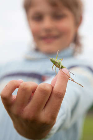 Young boy play with large grasshopper or locustの写真素材