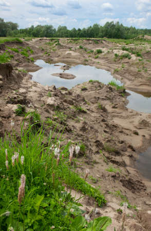 swamp water on a summer day, grass and skyの写真素材