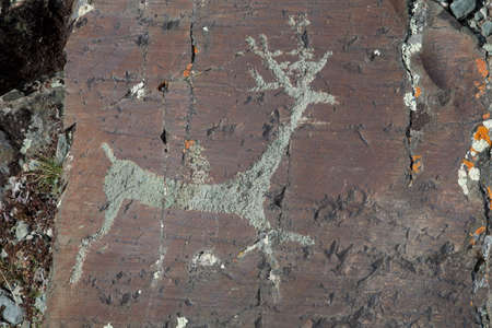 Rock paintings from the Bronze Ageの写真素材