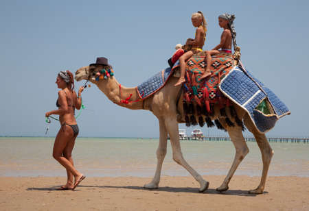 Young beautiful woman rolls the children on a camel on the beachの写真素材