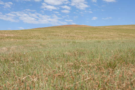 Blue sky over the steppes of Mongoliaの写真素材