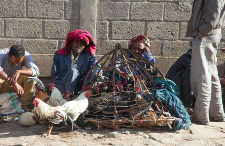 Ethiopia,Addis Ababa, January 5,2014. Animal market on the eve of a religious celebration in Ethiopia, Addis Ababa, January, 2014.のeditorial素材