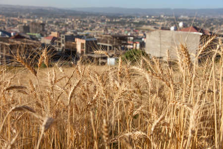 Ethiopia, Addas Ababa, December 6,2013. View of the  city in Ethiopia, Addis Ababa, December 6,2013.の写真素材