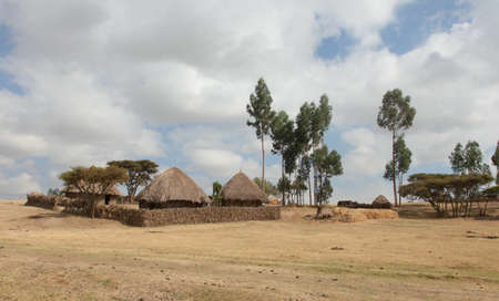 Ethiopia,Addis Ababa, December 15,2013. The Ethiopian yard on mount Entoto in Ethiopia,Addis Ababa,December15,2013.のeditorial素材