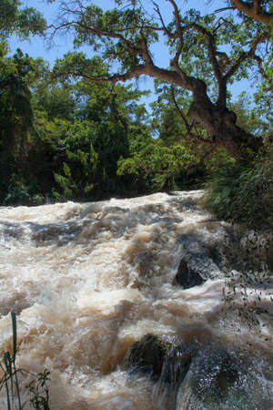 Stormy River flows in the forest Ethiopiaの写真素材
