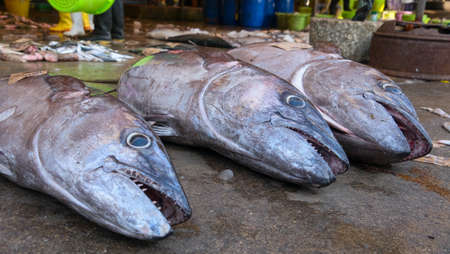 KOH CHANG, THAILAND - JANUARY 22 2015: Sell fish  on a street market in Thailandのeditorial素材