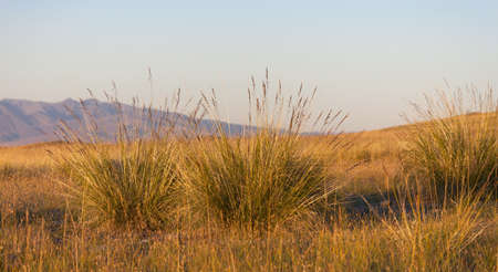 Evening in the mountains at an altitude of permafrost in tundra ecosystemsの写真素材