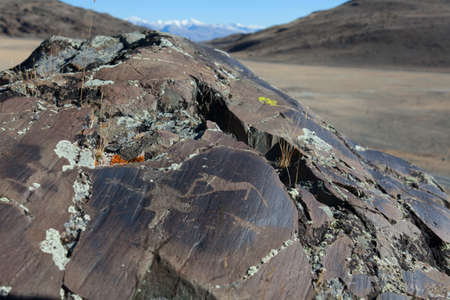 Petroglyphs of the Bronze Age in the Altai Mountainsの写真素材
