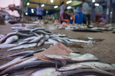 KOH CHANG, THAILAND - JANUARY 2 2015: Sell fresh fish at a street market in Thailandのeditorial素材