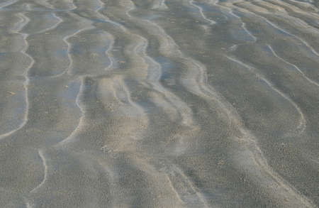 Sand texture on the beach of the warm seaの写真素材