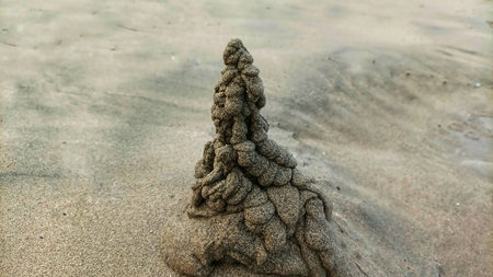 Hand-crafted miniature sand temples and castles on a pristine sandy beach. Soft daylight illuminates the creative structures by the calm ocean shore, symbolizing summer fun and imaginationの写真素材