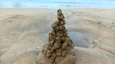Hand-crafted miniature sand temples and castles on a pristine sandy beach. Soft daylight illuminates...