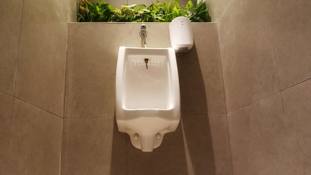 Modern white ceramic urinal in a public restroom featuring biophilic design with green plants. Clean minimalist toilet interior with warm lighting and stone wall tiles for luxury hospitalityの写真素材