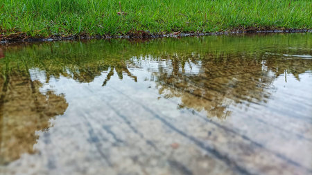 Close-up of a Clear Water Puddle on Ground Reflecting Green Grass and Trees Creating a Natural Mirror Effect After Rainfallの写真素材