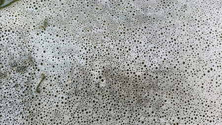 Top View of Dense White Lather and Small Soap Bubbles Covering a Wet Ground Surface with Intricate...