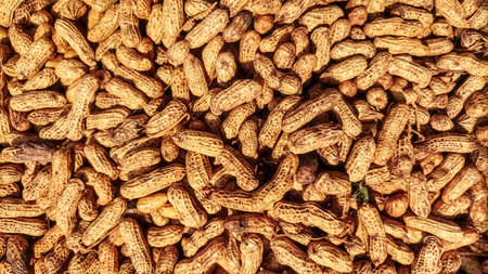 High Angle Close-up of a Large Pile of Raw Peanuts in Shells at a Traditional Market Stall