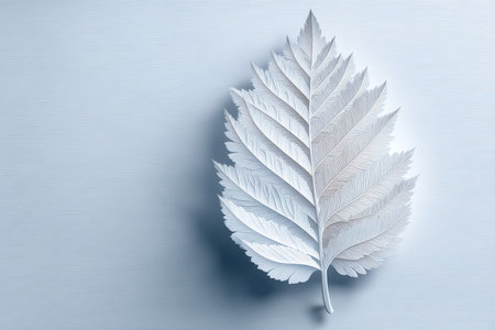A beautiful white leaf rests elegantly on a soft blue background, showcasing intricate details and textures. Perfect for nature-inspired designs and minimalist art themes.の素材