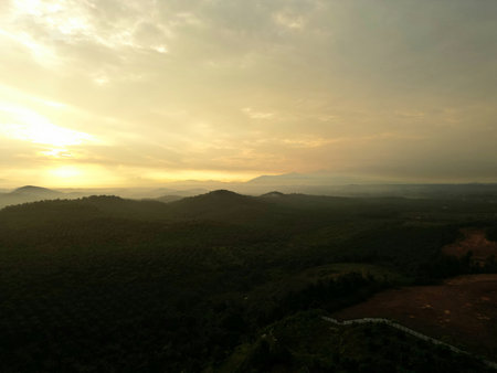 Scenic outdoor view capturing natural elements like sunset, sunrise, fog, paddy field, and cloud formations. Suitable for nature, travel, or weather-related themes.の写真素材