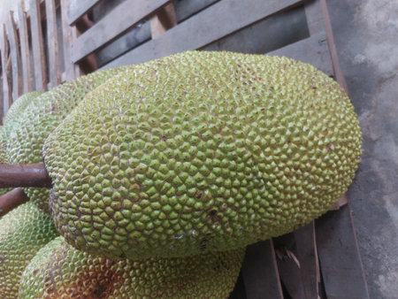 Ripe honey jackfruit shown with golden-yellow flesh and seeds. Tropical fruit often eaten fresh or...
