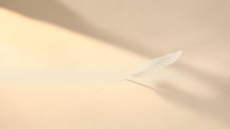 Feather on a beige background with a shadow from the sunの素材
