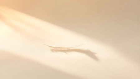 White feather on a beige background with shadows from a palm leafの素材