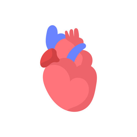 Art Illustration Design Concept Anatomy Body Human Symbol Icon Logo Realistic Of Heart Cardioのイラスト素材