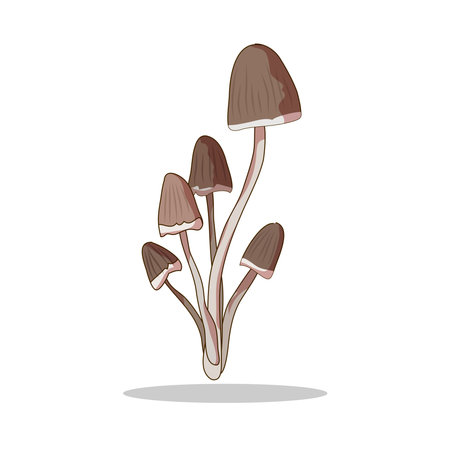 Art illustration Symbol logo botany design concept icon vegetables of mushroomのイラスト素材