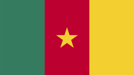 Cameroon flag vector image. National flag of Cameroon vector illustration.のイラスト素材
