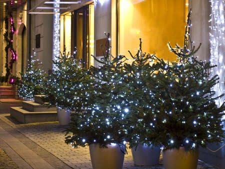 Moscow, Russia - December 15, 2011: Christmas trees on Kamergerskiy pereulok street.のeditorial素材