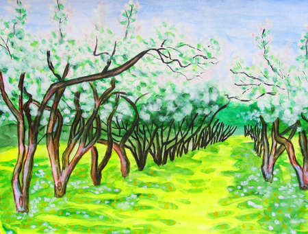 Hand drawn watercolour painting, spring landscape - apple garden in blossom.の写真素材