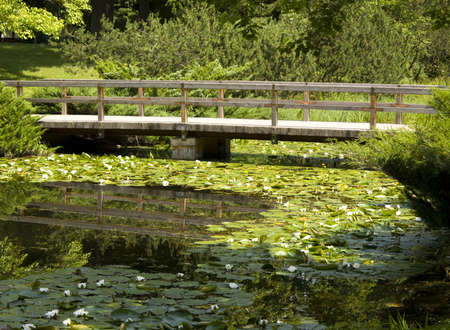 Summer landscape: bridge on little river, water lilies. Recorded in Japanese garden of Botanic...