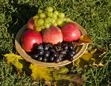 Wooden plate with red apples and green and blue grapes with yellow maple leaves.の写真素材