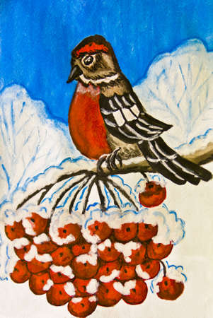 Hand painted picture, gouache - bullfinch bird sitting on branch of ash tree with berriesの写真素材