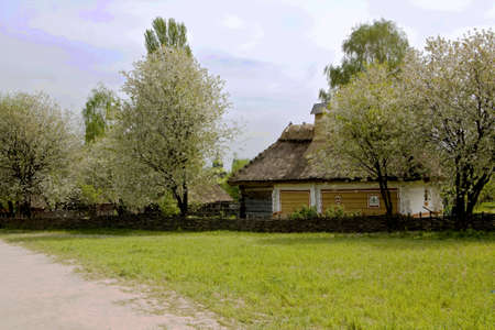Pirogov, Ukraine - May 05, 2010: Traditional house of Ukraine with cherry garden in blossom. Recorded in outdoors museum of national architecture in Pirogovo near Kiev.のeditorial素材