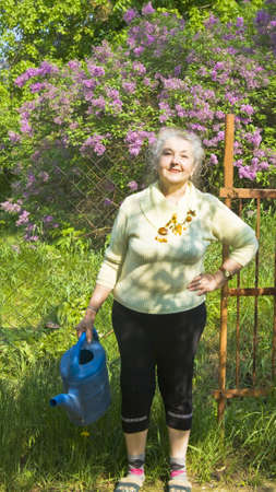 Old lady with watering can (pot) in garden near lilac shrub in blossom.の写真素材